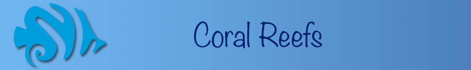 coral reef