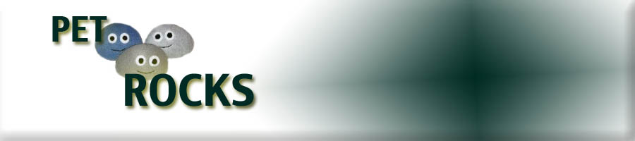 topbanner