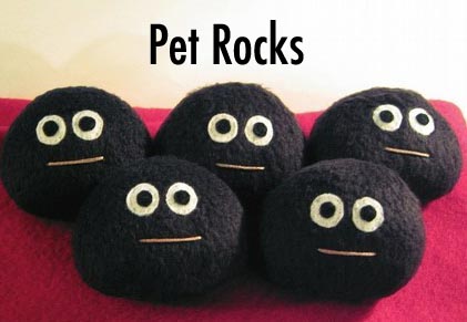 pet_rocks_1