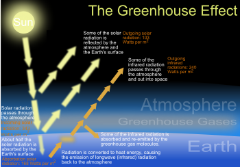 greenhouse