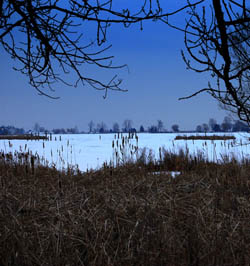 frozen lake