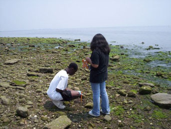 At St. Mary's by the Sea