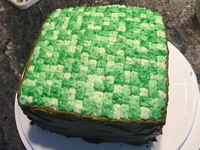 Grass Block Cake